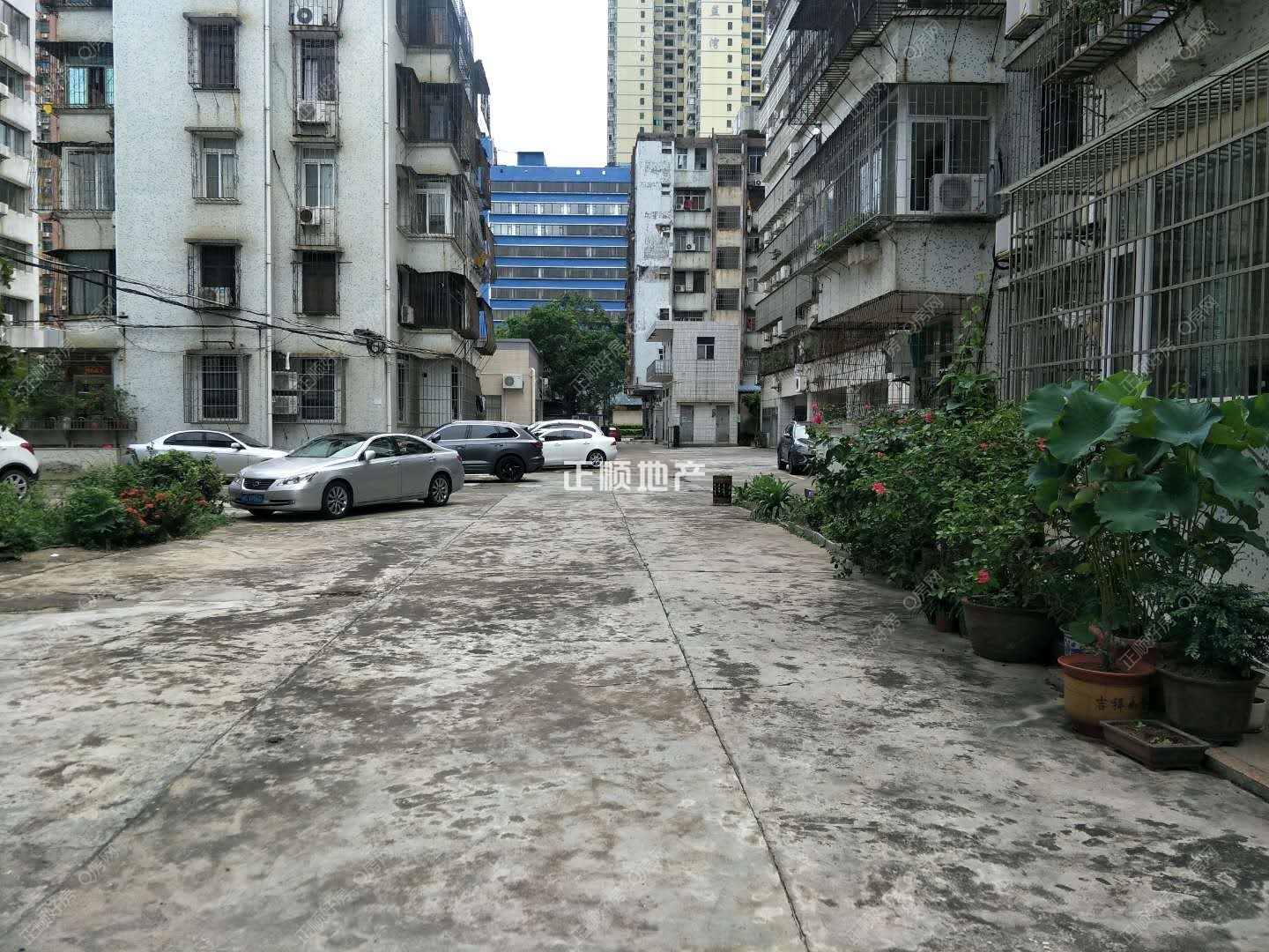 微信图片_20190619150520.jpg