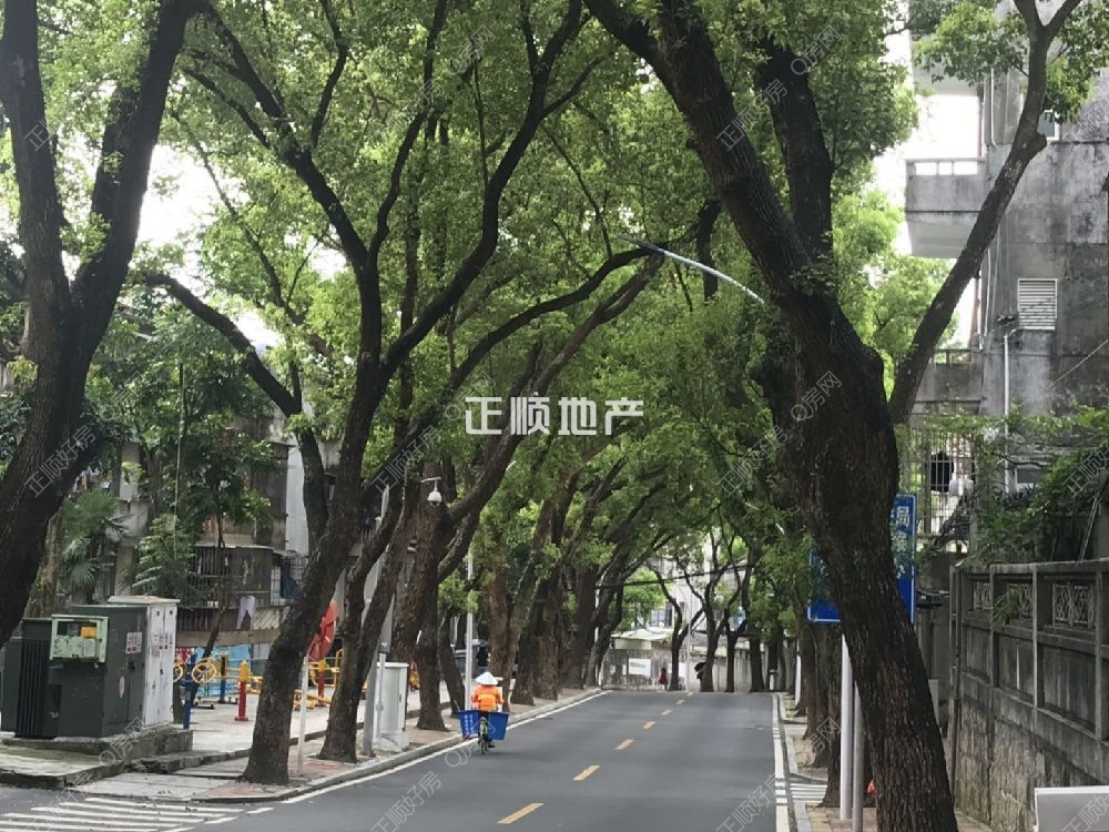 cf6d714f57567f0b9add6f558093589.jpg