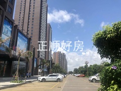 实景图.jpg