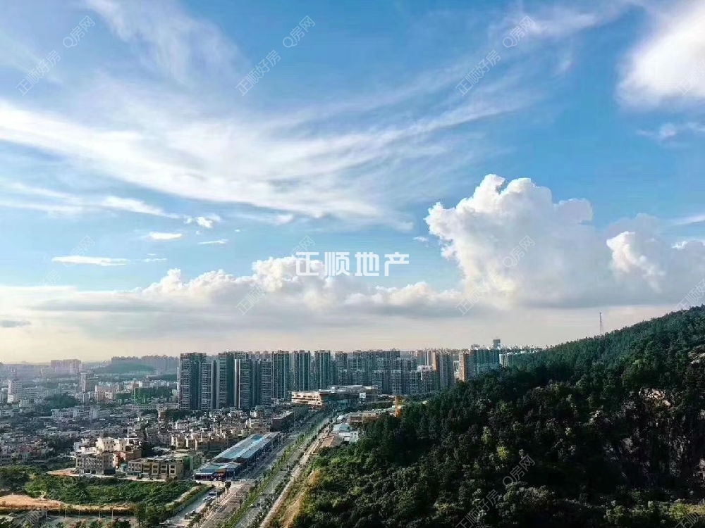 实景图