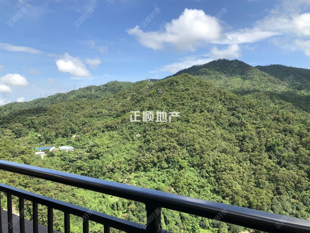 主卧阳台实景