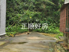 山泉水