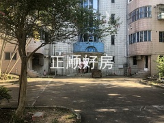 福康17.jpg