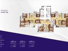 8栋129平、133平三房