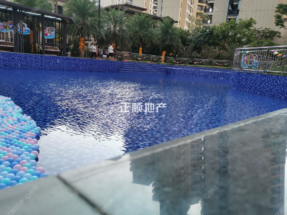 游泳池.jpg