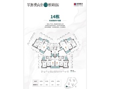 14幢户型图.png