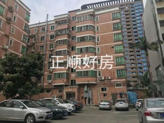 66.jpg