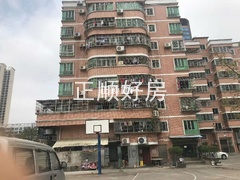 88.jpg