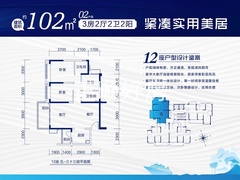 12栋102平户型图