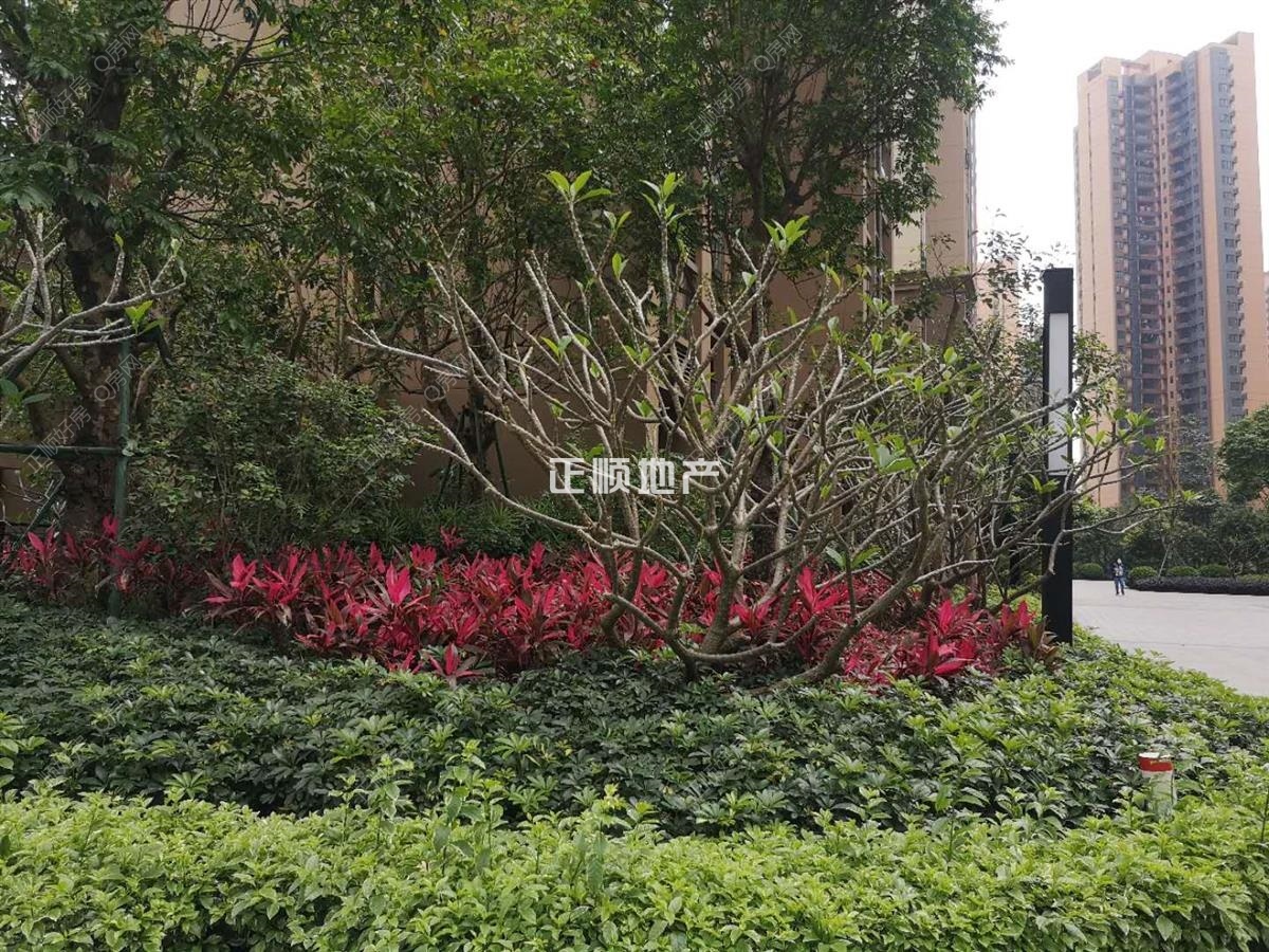 实景图