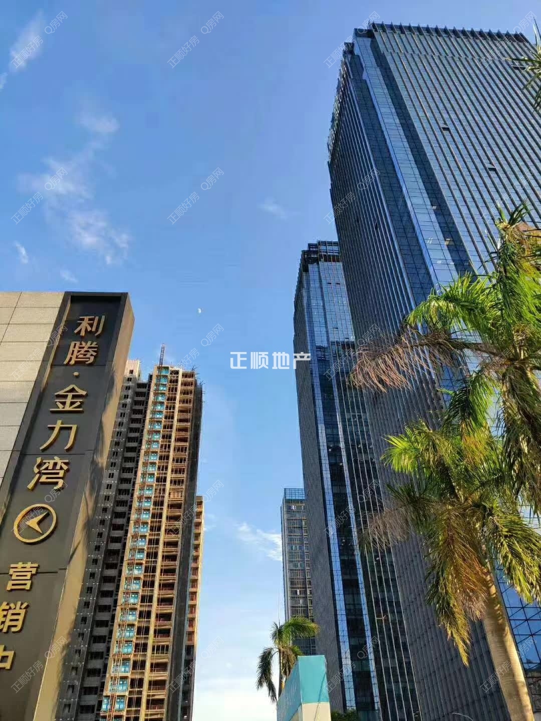 实景图