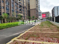 s1930A54860864EB6AE784ACD7F9EE1B9.jpg