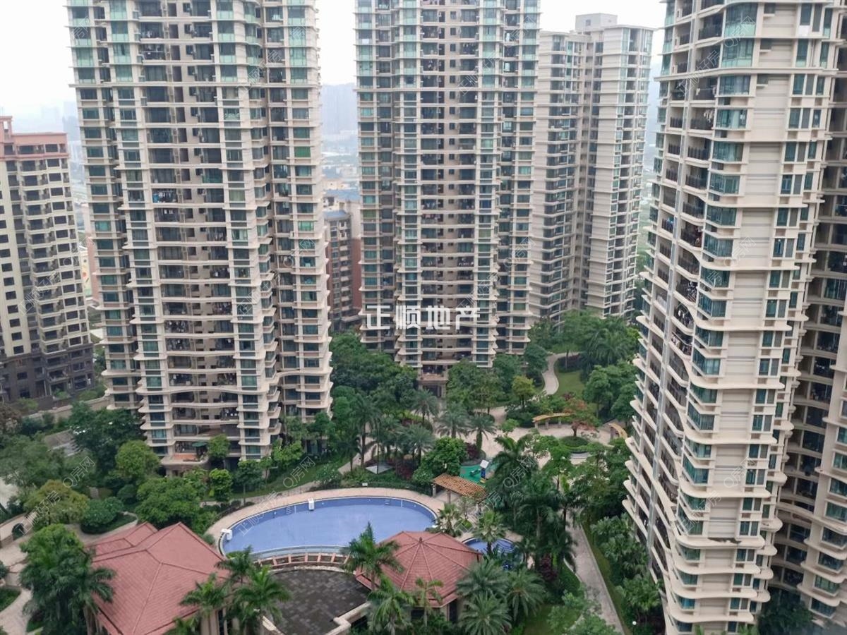 实景图