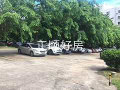 sA8CCB0926F82436FA7C2D84DC3F18E71.jpg