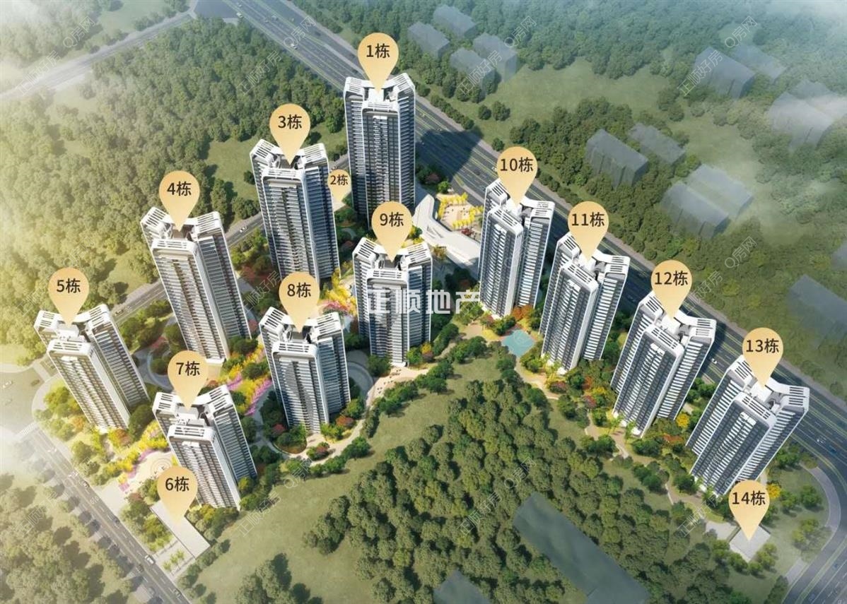 实景图
