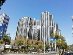 效果图