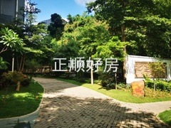 s602B1CA8C11A4A178206ACD9419EB096.jpg
