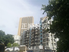 s0644AE3523D4405AA4A3D36F9953BD34.jpg