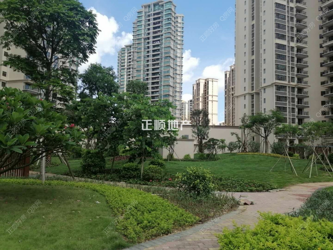 实景图
