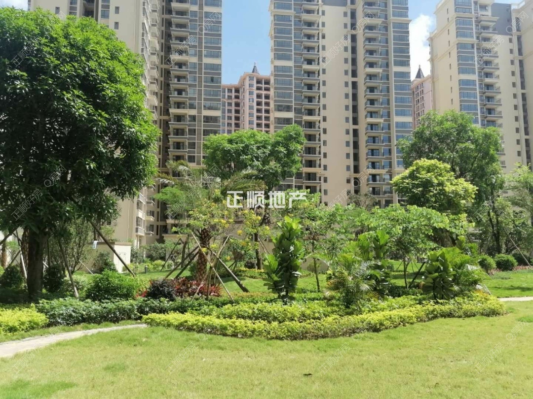 实景图