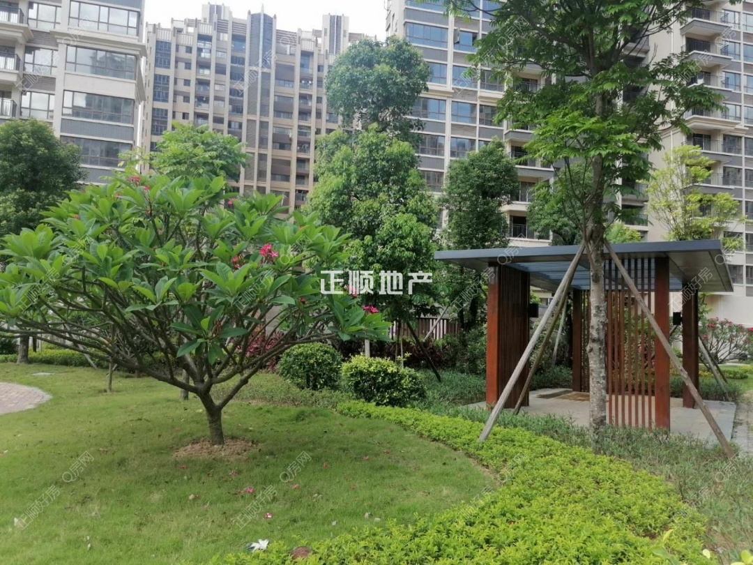 实景图