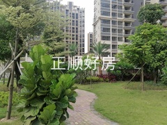 小区园林.jpg