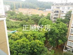 s44EC007957FE42818BFFEE0075E9C26A.jpg