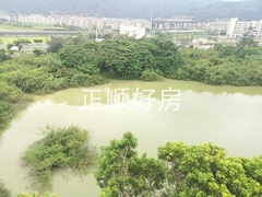 s79845B53EEEB4EA0AC9AD2EFF49C5D82.jpg