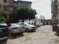 sE651336BF04141E487DD3B9DF4B88990.jpg