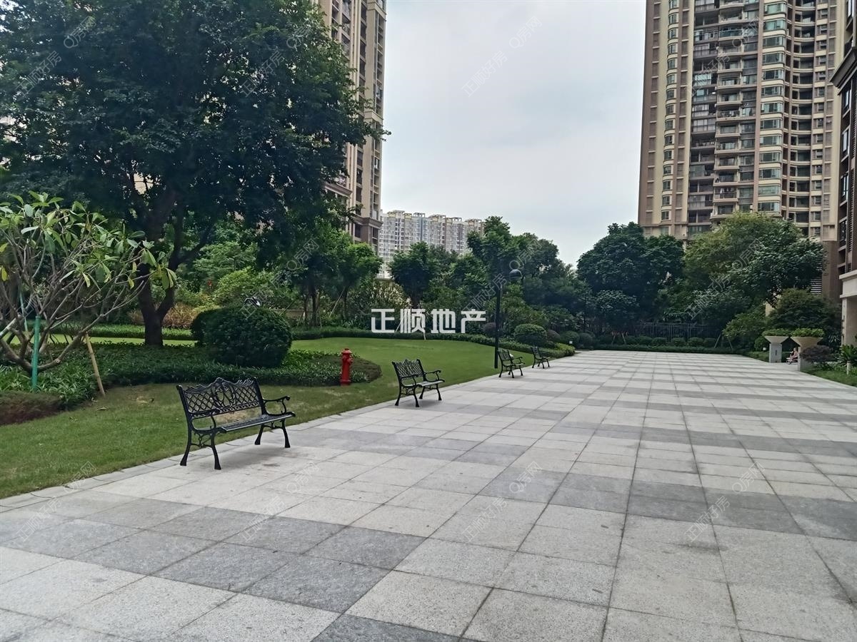 实景图