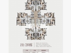 19，20栋两梯六户户型图