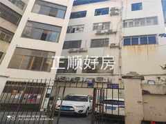 s30A987712C6F4D108B031C0651750692.jpg