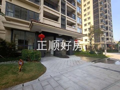 s8555C450A42B41BCACD0E0C46C3A4284.jpg