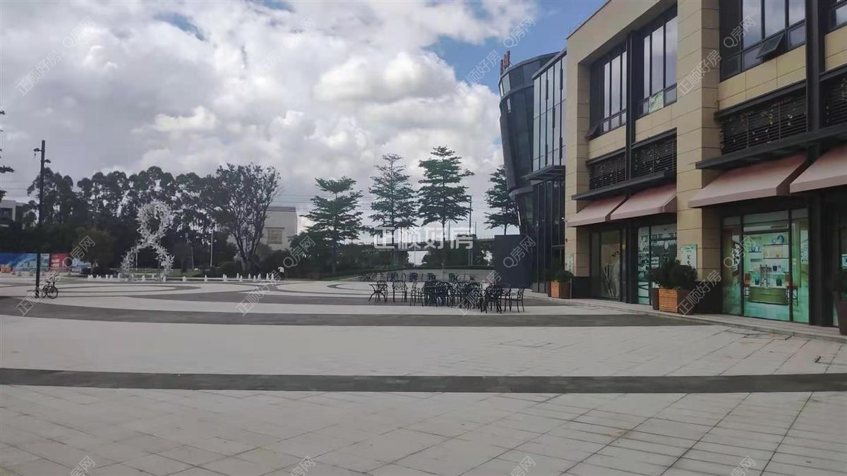 实景图