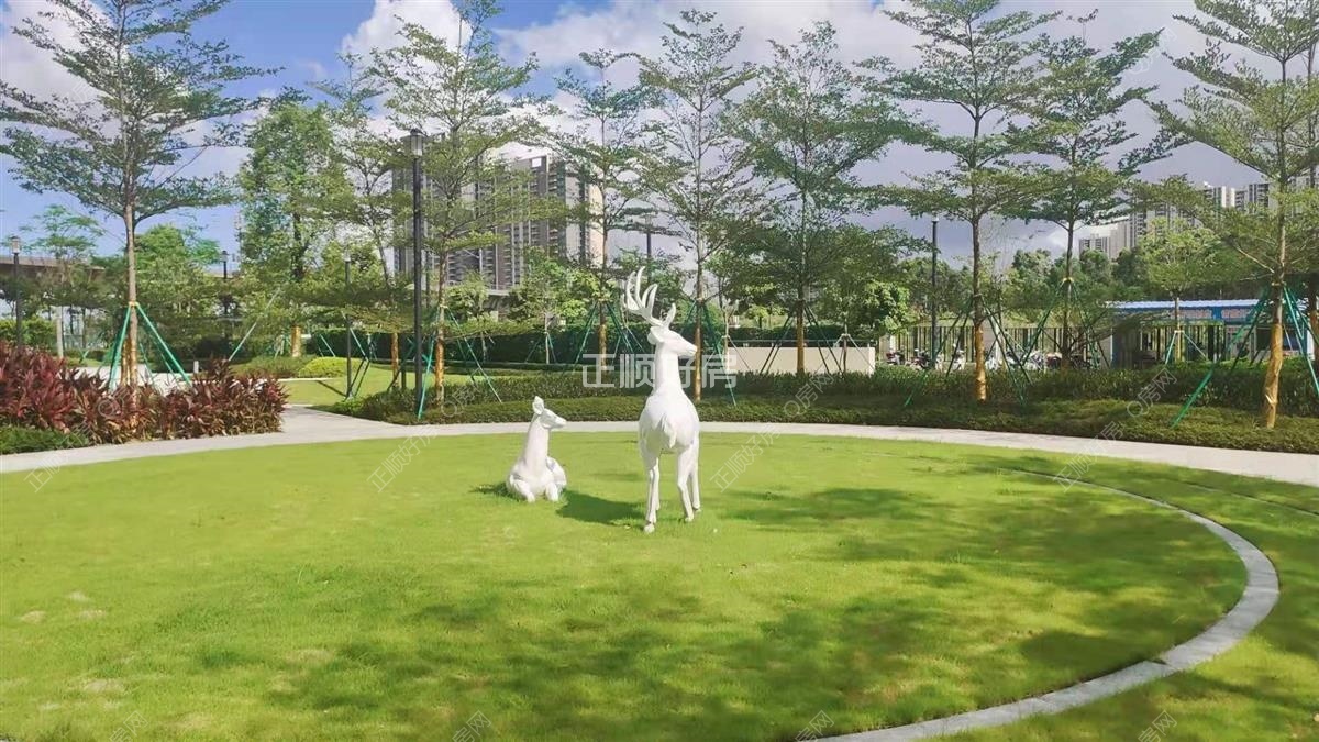 实景图