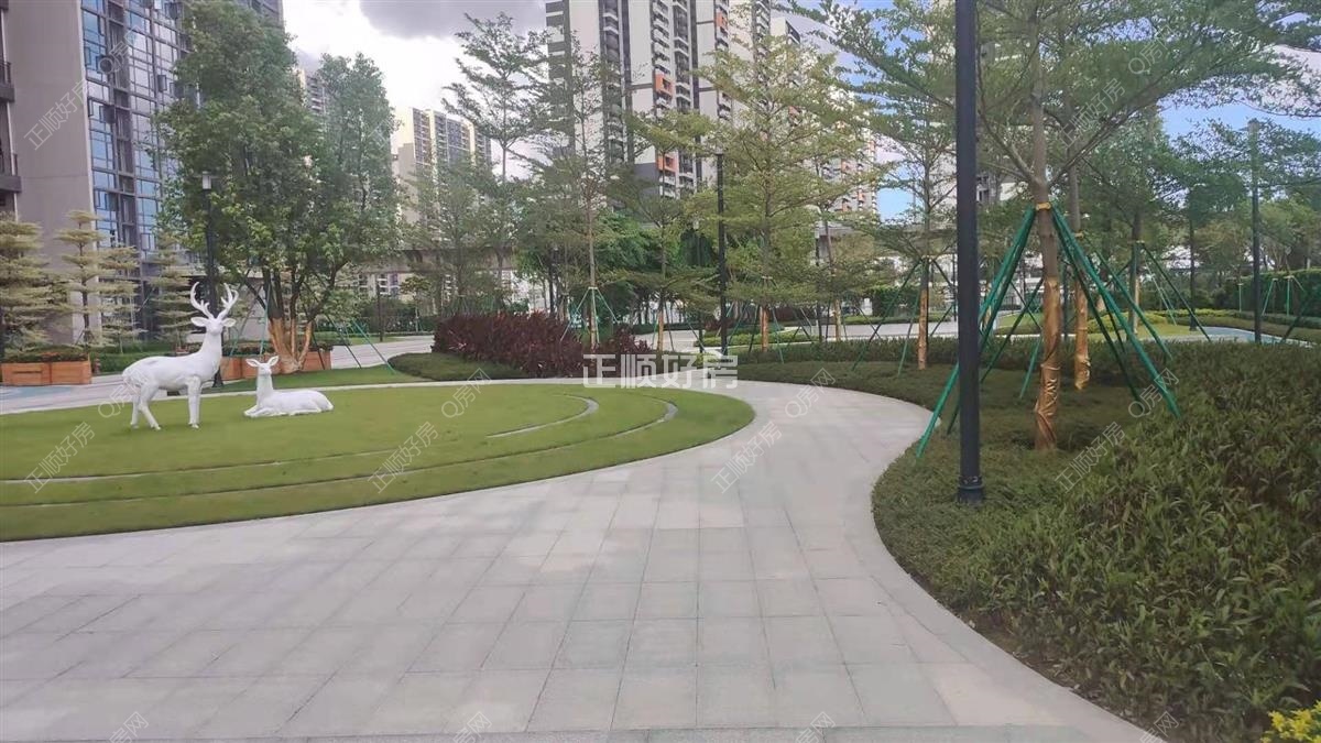 实景图