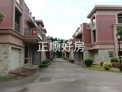 s4173DFC9A7084965A191B63895A28FEB.jpg