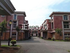 s84414D6C113E4C01A2021A880BF24892.jpg
