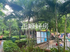 s467392128CDE4F069316B0579EC941DE.jpg
