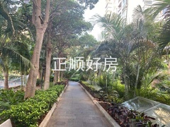 s782C3444A6CD4E52B634892498C293DA.jpg