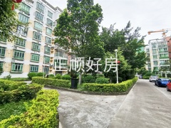 sEDDA07266691412594D0411F15E41A54.jpg
