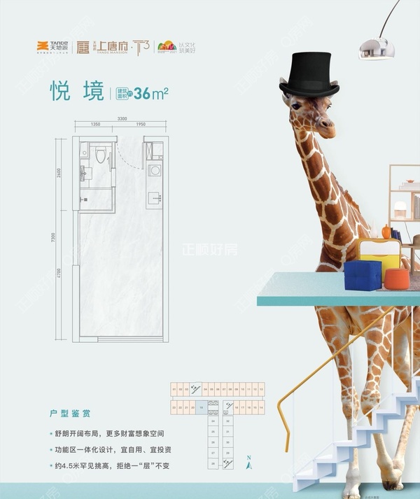 36平方一房一厅