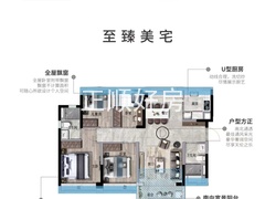 D户型
