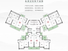 119四房两厅两卫两阳