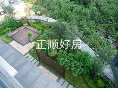 楼下的花园