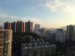观景