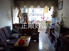 客厅