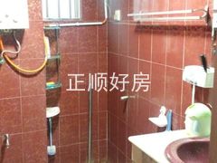 卫