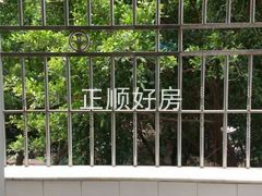 阳。