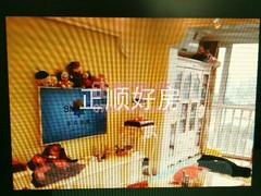 户型图-.jpg